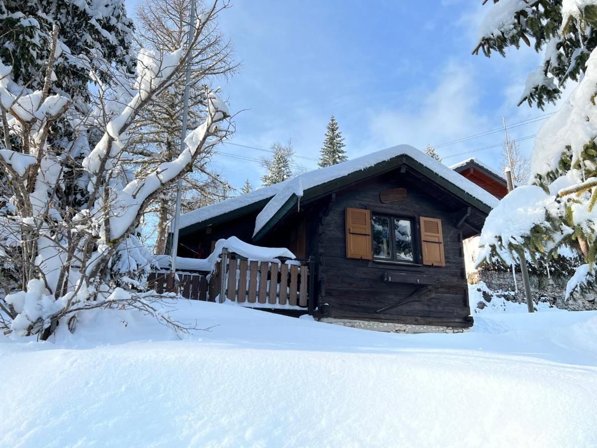 Entire Cozy Chalet In St-Cergue - 30 Min From Geneva Сен-Серг Экстерьер фото
