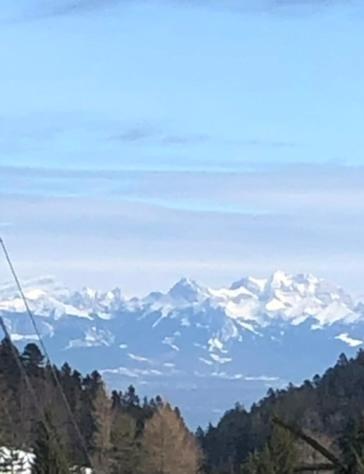 Entire Cozy Chalet In St-Cergue - 30 Min From Geneva Сен-Серг Экстерьер фото